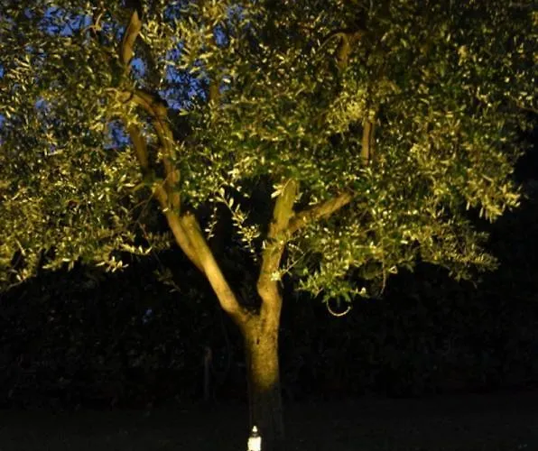 Villa Casa Savoia Luxury House Bardolino